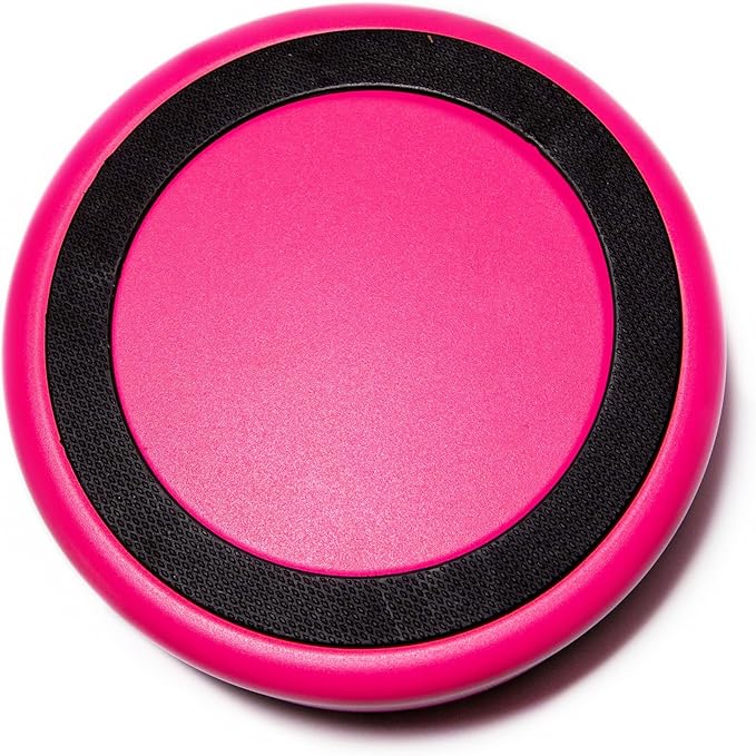 Bright Pink Dog Bowl for Small Dogs, 32 oz Non Slip Stainless Steel Pet Bowl, Vacuum Insulated Pet Bowl That Keeps Water Cool (32 oz, Bright Pink)-PawvioPets