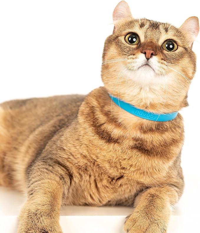 Breakaway Cat Collar - Soft, Comfortable, and Lightweight Safety Buckle Collar with ID Tag Ring for Outdoor Cats and Sensitive Skin Kittens by Nuvuq (6 ⅞" to 10 ¼", Blue)-PawvioPets
