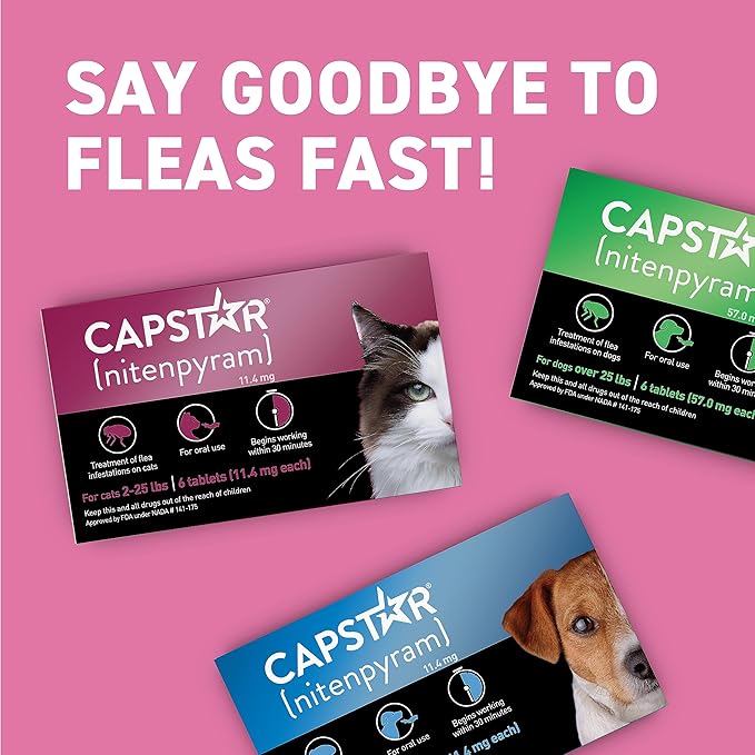 CAPSTAR (nitenpyram) Oral Flea Treatment for Cats, Fast Acting Tablets Start Killing Fleas in 30 Minutes, Cats 2-25 lbs, 6 Doses-PawvioPets