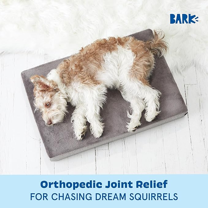 Barkbox Orthopedic Dog Bed with Memory Foam, Premium Comfort for Dogs and Puppies, Dog Bed for Joint Relief and Restful Sleep, Durable and Easy to Clean - Grey, Small-PawvioPets