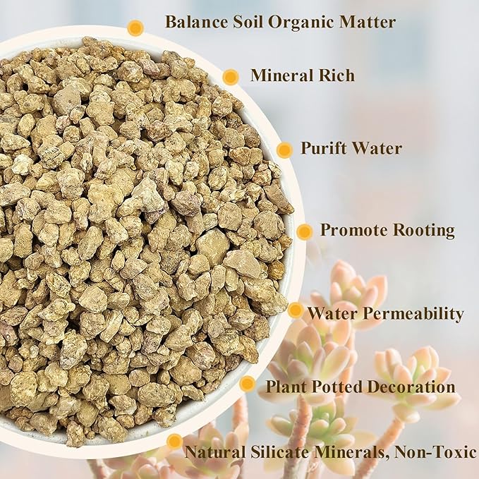 2 lbs Maifanitum Stones for Succulent,1/4 Inch Decorative Rocks for Indoor Plants, Bonsai, Soil Cover. Small Stone of Lightweight for Promote Soil Root Growth, Water Drainage and Plant Growth-PawvioPets