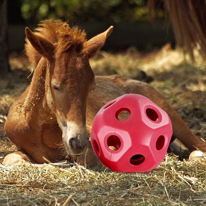 Cute 15.7" Horse Treat Ball, Carrot Feeding Toy Ball Multifunctional Hanging Treat Snack Ball for Horse Stable Stall Paddock Rest, Red-PawvioPets