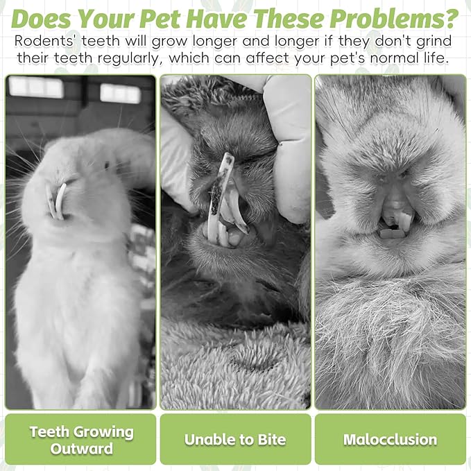 Fhiny 24 PCS Rabbit Chew Sticks, Natural Papaya Wood Seagrass Guinea Pig Chew Toys for Teeth Small Animal Molar Sticks Snacks for Bunny Guinea Pig Chinchilla Ferret Hamster Gerbil Dental Care-PawvioPets