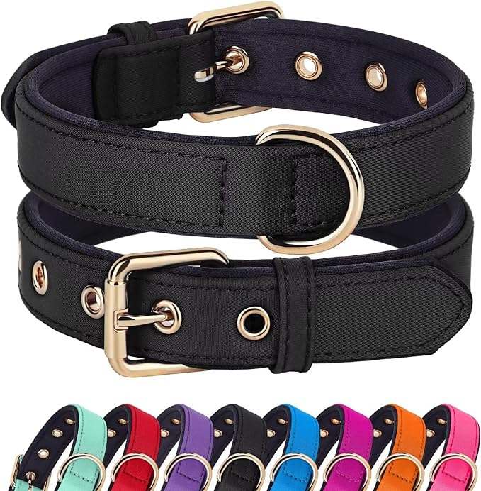 Didog Soft Padded Dog Collars for Small Dogs, Lightweight and Breathable Dog Collar with Metal Buckle for Puppy, Black, S-PawvioPets