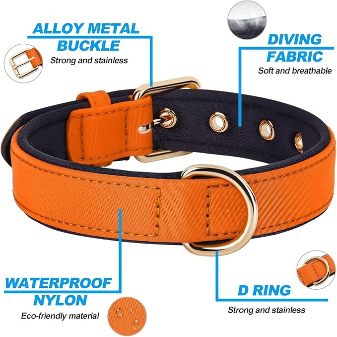 Didog Soft Padded Dog Collars for Medium Dogs, Lightweight and Breathable Dog Collar with Metal Buckle, Orange, L-PawvioPets