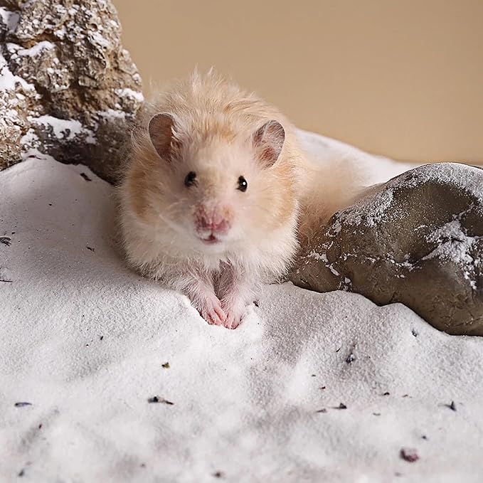 DR.DUDU Hamster Bath Sand, 6.6lb Dust Free Desert Sand or Potty Litter Sand for Hamster Chinchillas Gerbil Syrian Mice Small Animals (White, Flower Smell)-PawvioPets