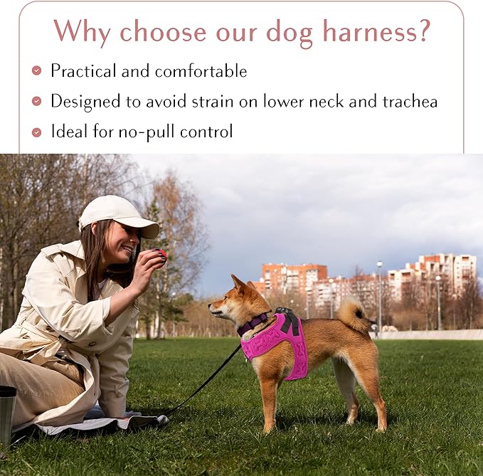 Comfort Fit Dog Harness Soft Padded No Pull Harness with Adjustable Buckles for Small Medium Large Dogs Step in Pet Vest with Easy Control Handle for Walking Jogging Running Training Dogs & Puppies-PawvioPets