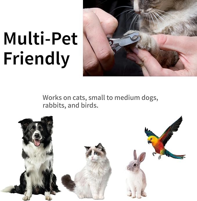 Dog Nail Trimmers & Dog Nail Clippers for Grooming - Small Dog Nail Clippers - Safe and Easy Stainless Pet Supplies-PawvioPets