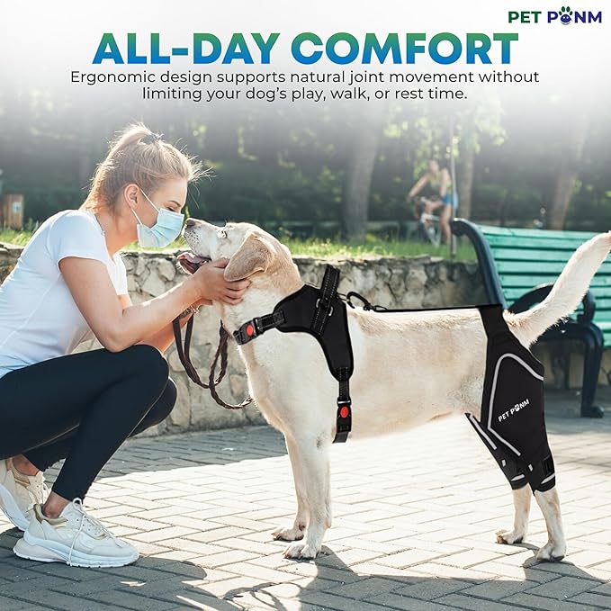 Dog ACL Knee Brace for Back Left Leg - with Integrated Harness - for Cruciate Ligament Injuries, Patellar Luxation, Post-Surgery Recovery. Durable, Breathable Material, Eases Pain - (Large)-PawvioPets