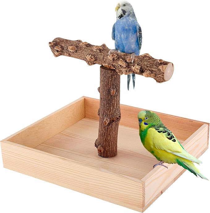 Bird Perch, Portable Tabletop Bird Stand, Training Play T Shaped Stand for Parrot Parakeet Cockatiels Conures Budgies Finch Lovebirds-PawvioPets