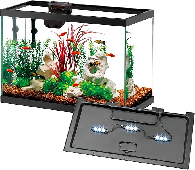 Aqueon 10 Gallon Aquarium Starter Kit with SmartClean Filtration and LED Lighting for Tropical Freshwater Fish-PawvioPets