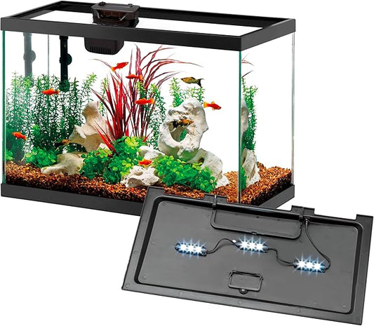 Aqueon 10 Gallon Aquarium Starter Kit with SmartClean Filtration and LED Lighting for Tropical Freshwater Fish-PawvioPets