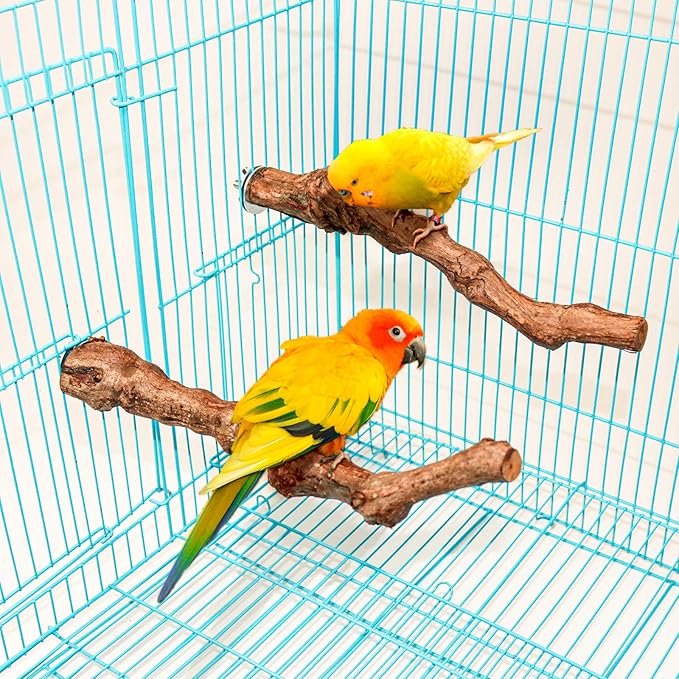 2 Packs Parrot Perch Stand,Natural Grapevine Wood Perch Parrots Cage Perch Toys Suitable for Small or Medium Parrots Parakeets Cockatiels Conures Lovebirds in Cage Accessories Supplies (Style-1)-PawvioPets