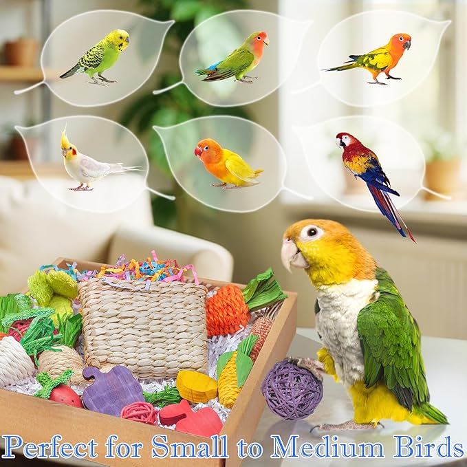 Colorful Bird Foraging & Parrot Shredding Toys Box - Safe Fruit & Vegetable Bird Toys, Perfect for Parakeets, Cockatiels, and Small to Medium Birds-PawvioPets