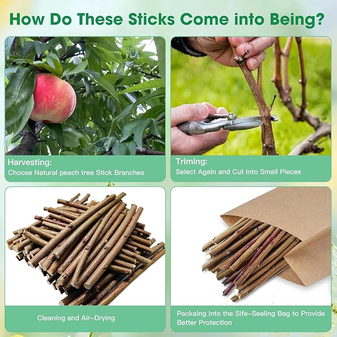 250g Natural Peach Wood Chew Sticks for Rabbits, Hamsters, Chinchillas - Extra Hard Teeth Grinding Toy | Untreated, Safe & Long-Lasting Rodent Chews-PawvioPets