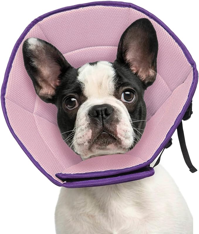 Dog Cone Collar S, Soft Cones for Large Medium Small Dogs,Adjustable Dog Cone Alternative to Stop Licking, Comfy Elizabethan Collar for After Surgery Wound Healing & Hot Spots Purple-PawvioPets