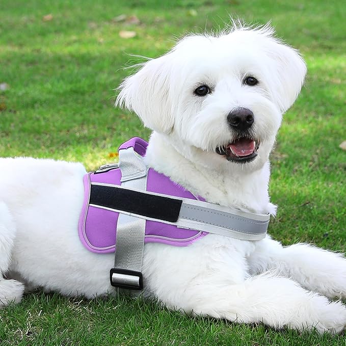Bolux Dog Harness, No-Pull Reflective Dog Vest, Breathable Adjustable Pet Harness with Handle for Outdoor Walking - No More Pulling, Tugging or Choking (Lavender, Large (Pack of 1))-PawvioPets