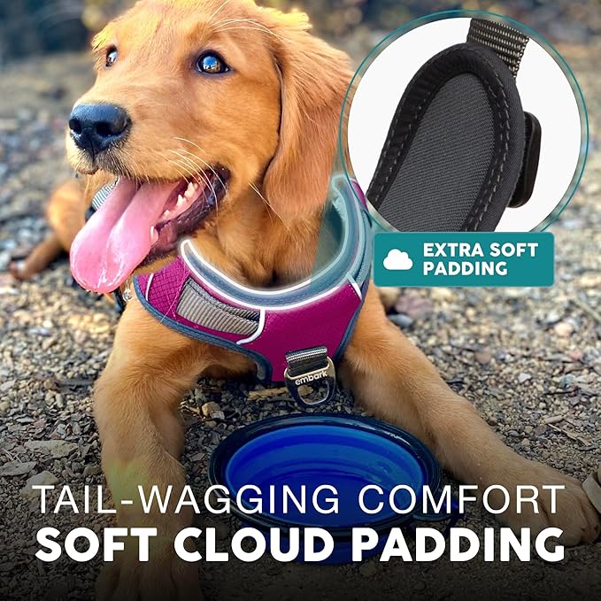 Embark Adventure Dog Harness, Reflective Trim No Pull Dog Harness for Large Dogs - Military Grade Nylon, Front Clip with Gel Lined Handle.-PawvioPets