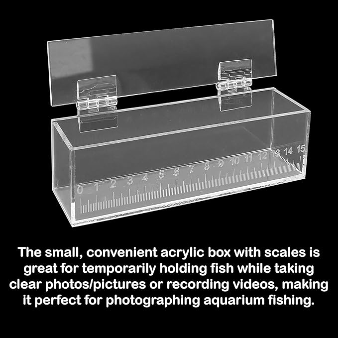 Fish Viewing Box Container with Lid and Scale, Acrylic Portable Fishing Mini Aquarium, Small Fish Breeder Hatching Boxes, Safe Tank Case for Breeding Egg Photo Isolation Outdoor Indoor-PawvioPets