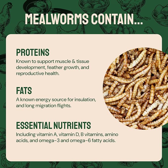 Dried Mealworms - 2 Lb Bag - High Protein Chicken Feed, Mealworms for Birds & Chickens - Meal Worms for Wild Birds & Turtles-PawvioPets
