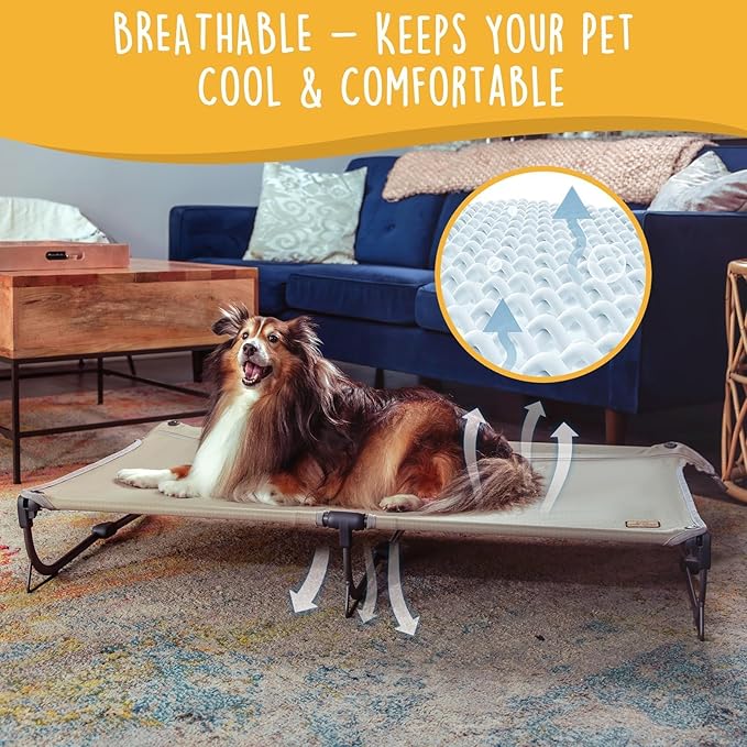 Daisy Cot, Large Foldable Elevated Dog Bed, Portable Raised Outdoor Folding Dog Cot, Cooling, Chew Proof, Waterproof, Heavy Duty Up to 160 Lbs for Camping/Home, Brown, 43"x27"x7”-PawvioPets