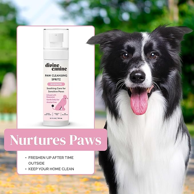 Dog Paw Cleaner - 5.1 Fl Oz of Alcohol Free Paw Cleansing Spray - Made with Rosewater, Aloe, Copaiba Oil, and Lemongrass Oil to Nourish and Clean Paws - Made in The USA-PawvioPets