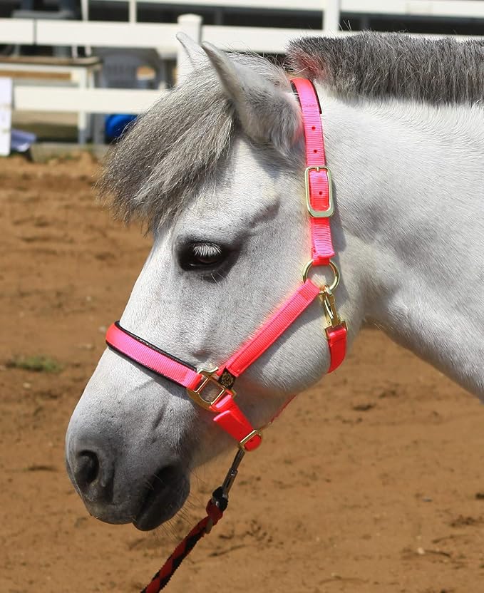 T TEKE Adjustable Horse Halters by Heavy Duty Soft Nylon, Padded with Anti-rubbing Waffle Neoprene on Both Crown & Nose-PawvioPets