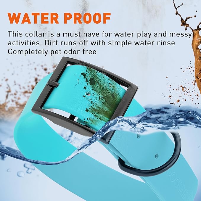 Dogline Biothane Waterproof Dog Collar Strong Coated Nylon Webbing with Black Hardware Odor- Proof for Easy Care Easy to Clean High Performance Fits Small Medium or Large Dogs, Sky Blue-PawvioPets