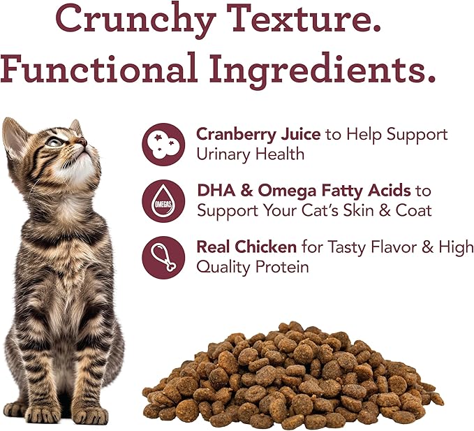 Get Naked Urinary Health Crunchy Treats For Cats, Cranberries, (1 Pouch), 2.5 Oz-PawvioPets