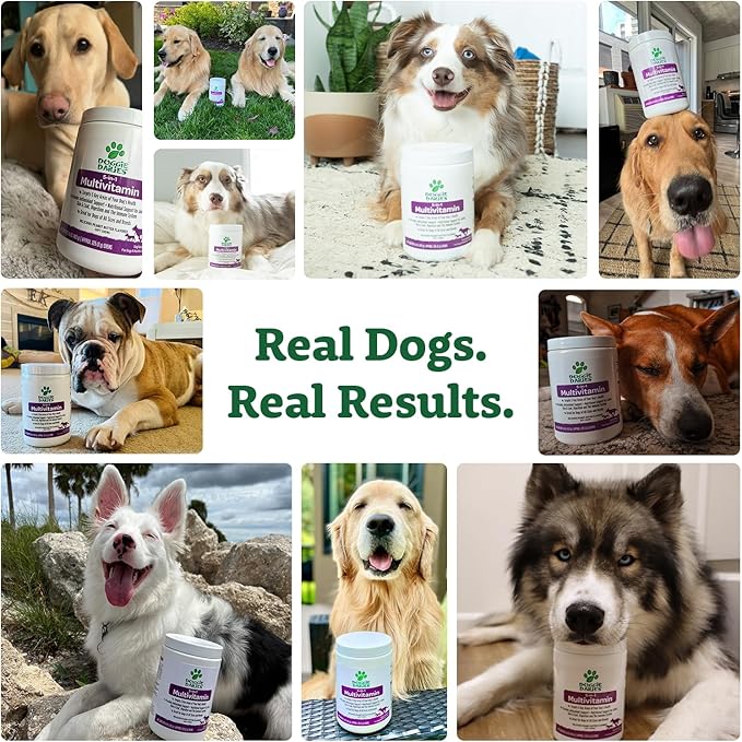 Doggie Dailies 5 in 1 Multivitamin for Dogs, Dog Multivitamin for Skin and Coat Health, Joint Health, Improved Digestion, Antioxidants, Support a Healthy Immune System (Peanut Butter) 225 Soft Chews-PawvioPets