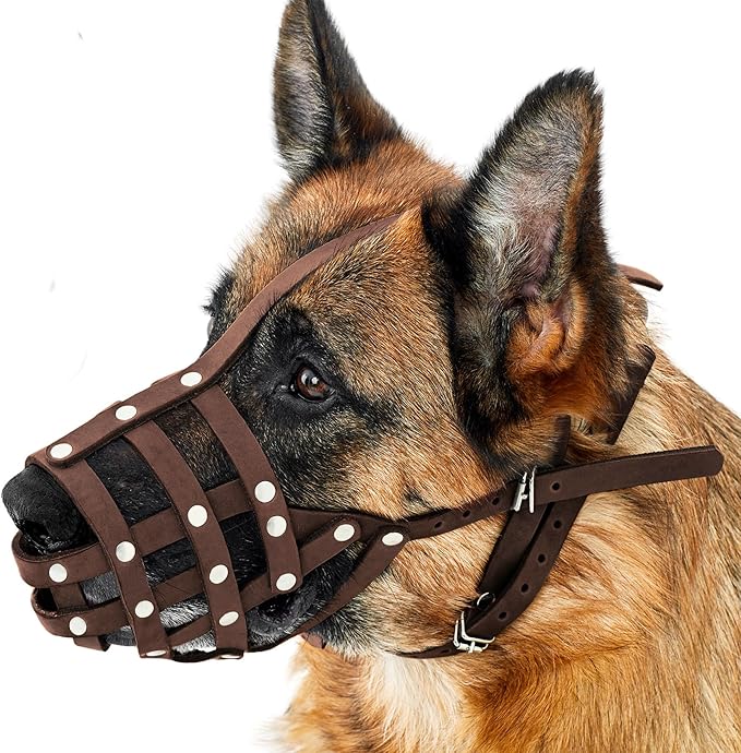 CollarDirect Dog Muzzle German Shepherd Dalmatian Doberman Setter Leather Basket Medium Large Breeds (Chestnut Brown, Medium)-PawvioPets
