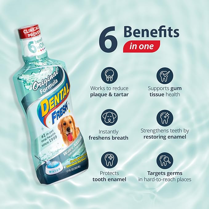 Dental Fresh Water Additive for Dogs, Original Formula, 64oz – Dog Breath Freshener and Dog Teeth Cleaning for Dog Dental Care– Add to Water-PawvioPets