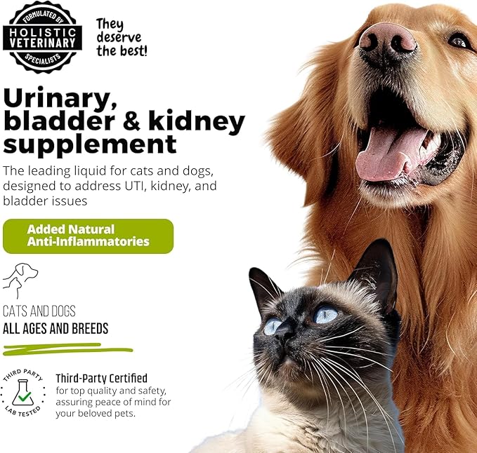 Cat & Dog Urinary Tract Treatment, Bladder & Kidney Support for Dogs and Cats, Powerful Yet Gentle Pet Care, with Liquid Cranberry & Glucosamine, Salmon Flavor, 6 oz Bottle, 1 Pack-PawvioPets