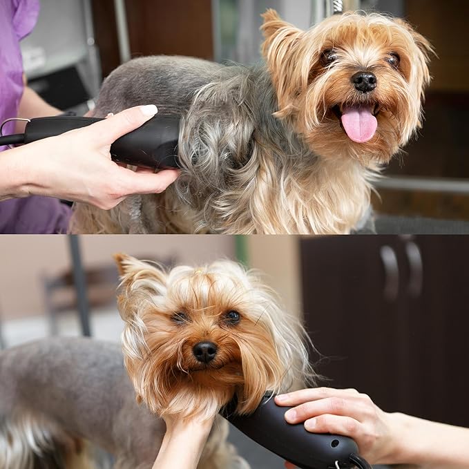 Detachable A Series 6f Blade Dog Grooming Cuts Length 3/16" - 4.8mm Japanese High Carbon Steel Dog Grooming Blade Supplies | Detachable Blade Clippers (Compatible A5 Series(B6F)-PawvioPets