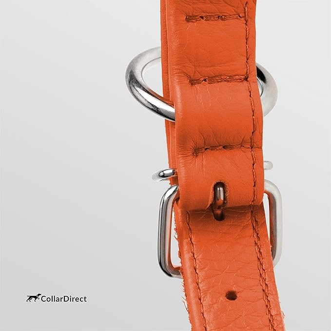 CollarDirect Rolled Leather Dog Collar, Soft Padded Round Puppy Collar, Handmade Genuine Leather Collar Dog Small Large Cat Collars 13 Colors (11-14 Inch, Orange Textured)-PawvioPets