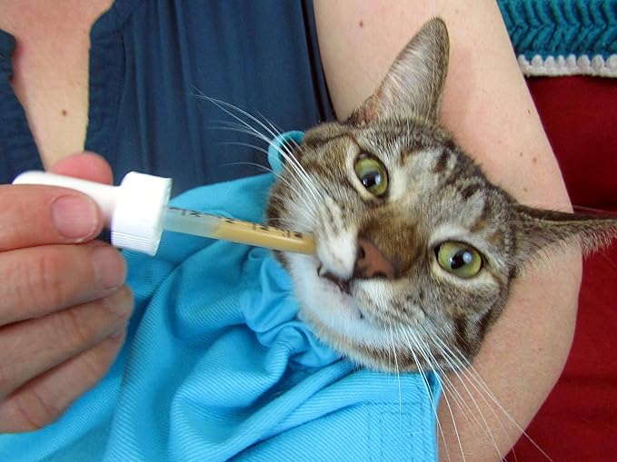 Cozy Comfort Carrier - Large Green Cat Carrier, Cat Holder for Cutting Nails, & Cat Carrier Pouch for Vet Visits, Medication Administration, Dental Care, & Travel-PawvioPets