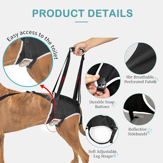 Dog Lift Harness for Small Dogs, Adjustable Rear Leg Support Sling for Hip Dysplasia, Arthritis, Weak Hind Legs, Post-Surgery Recovery, Comfortable & Secure with Sturdy Buckles, S-PawvioPets