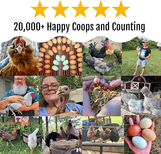 BuffClucks Herb Supplement for Backyard Chickens - Natural Chicken Treats, Poultry Feed Botanical Mix, Plant-Based Coop Snacks for Daily Wellness, Feather Quality, Egg Production, USA (20 LB)-PawvioPets