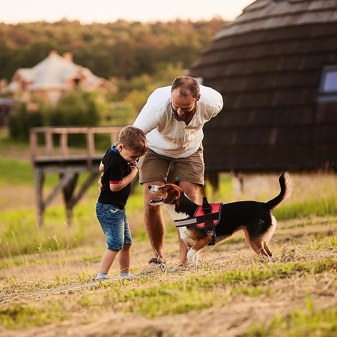 Dogline Dog Harness, Reflective No-Pull Adjustable Vest with Handle, Breathable No-Choke Harness for Small, Medium or Large Dogs Room for Patches Girth 27 to 34 in Red-PawvioPets