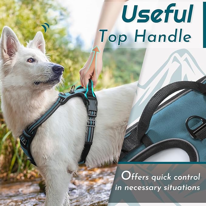 Eagloo Dog Harness for Large Dogs, No Pull Service Vest with Reflective Strips and Control Handle, Adjustable and Comfortable for Easy Walking, No Choke Pet Harness with 2 Metal Rings, Dark Green, L-PawvioPets