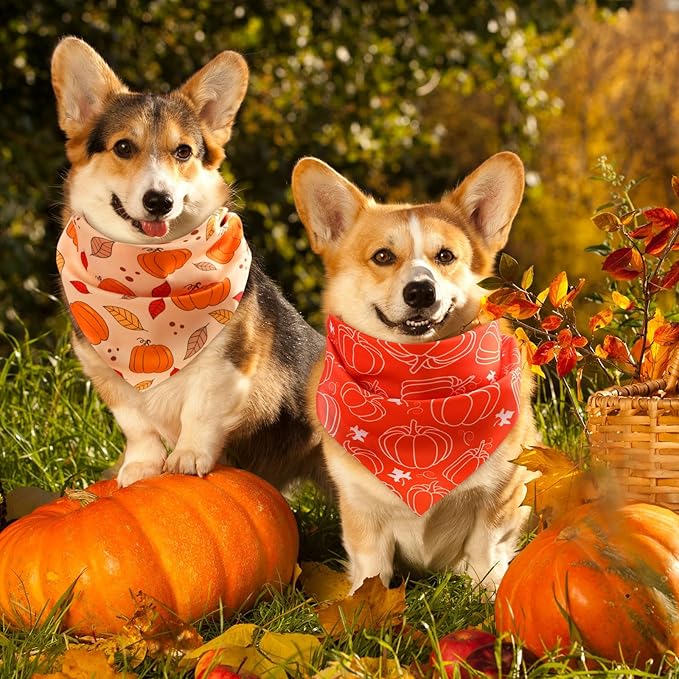 Abbylike 50 Pcs Fall Dog Bandanas Bulk Pumpkin Bandanas for Dogs Triangle Kerchief Bibs Scarf for Small Medium Large Pets Autumn Thanksgiving Costume Accessories, 25 Styles (25.6 x 17.7 x 17.7 Inch)-PawvioPets