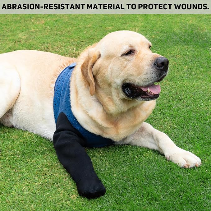 COODEO Dog Socks to Prevent Licking Paws, Healing Boots & Paw Protectors with Non-Slip Bottoms for Wound Protection, Waterproof Sleeve Shoes for Licking（Blue，2XL_Right-PawvioPets