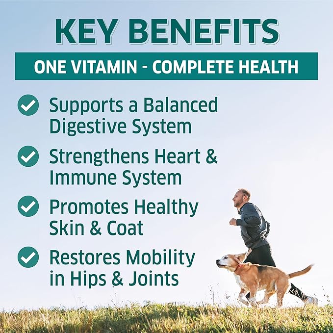 Dog Multivitamin - Dog Vitamins and Supplements - Digestive Enzymes & Probiotics - Probiotics for Dogs - for Skin and Coat Allergies - Immune System & Overall Health - 120 Soft Chew Dog Treats-PawvioPets