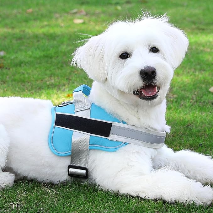 Bolux Dog Harness, No-Pull Reflective Dog Vest, Breathable Adjustable Pet Harness with Handle for Outdoor Walking - No More Pulling, Tugging or Choking (OceanicBlue, X-Small (Pack of 1))-PawvioPets