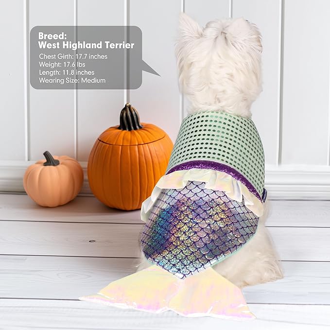 cyeollo Dog Halloween Costumes Mermaid Cosplay Holiday Birthday Party Dog Clothes Outfit Pet Costume for Medium Dogs, Size L-PawvioPets