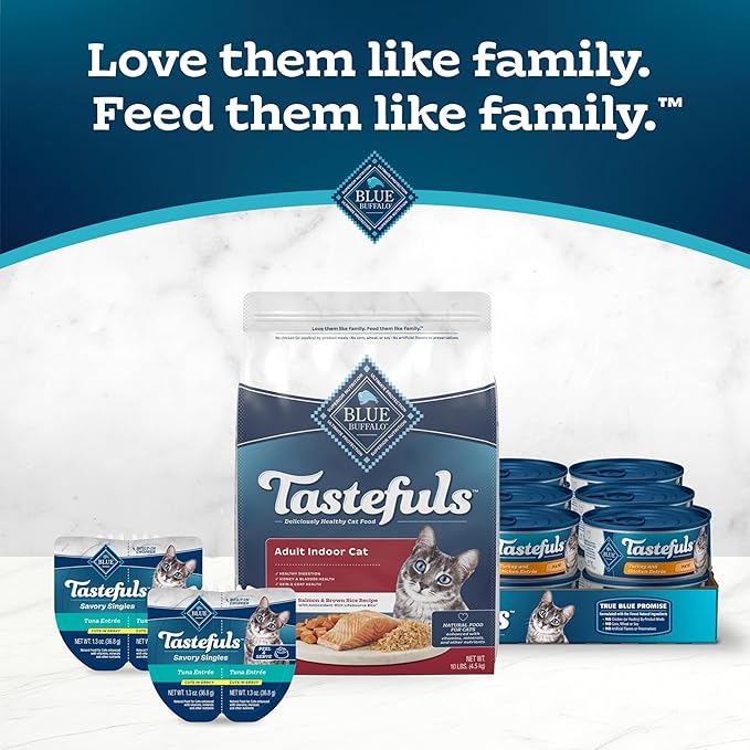 Blue Buffalo Tastefuls Indoor Natural Adult Dry Cat Food, Salmon & Brown Rice 10lb Bag-PawvioPets