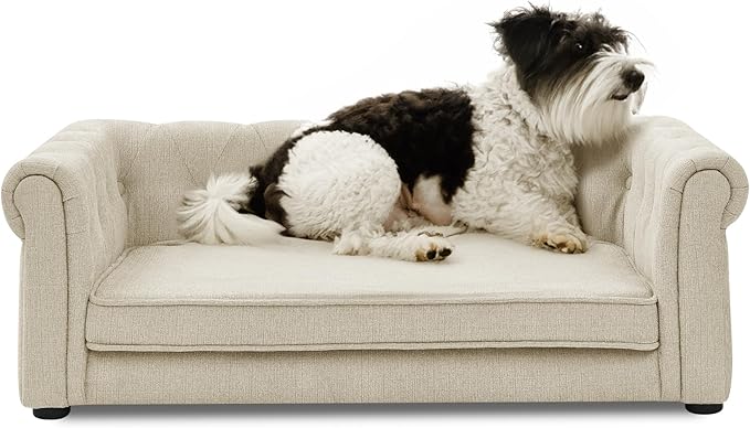 Dog Sofa Couch for Medium to Large Dogs, 31" Memory Foam Dog Couch with Washable Fabric, Removable Cushion, Sofa Bed for Medium and Large Dogs, Beige-PawvioPets
