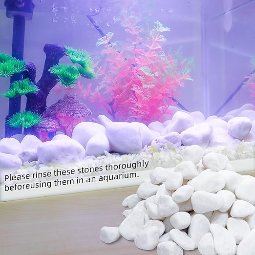 45LB 1"-2" White River Rocks for Plants, Polished Pebbles for Garden Landscaping, Planters, Aquariums, Vase Fillers – Indoor & Outdoor Decor-PawvioPets