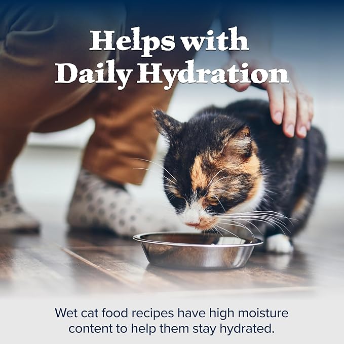 Blue Buffalo Wilderness High Protein Grain Free, Natural Mature Pate Wet Cat Food, Chicken 5.5-oz cans (Pack of 24)-PawvioPets