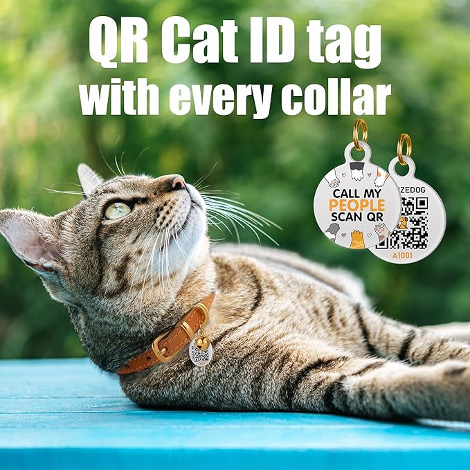 BRONZEDOG Leather Cat Collar with Removable Bells Non Breakaway Kitten QR Tag for Girl Boy (9" - 12" Cats/Mini Dogs, Black & Silver)-PawvioPets